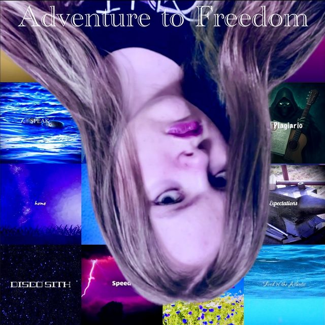 Adventure to Freedom &mdash; an upside-down portrait over a grid of the album&rsquo;s track artwork